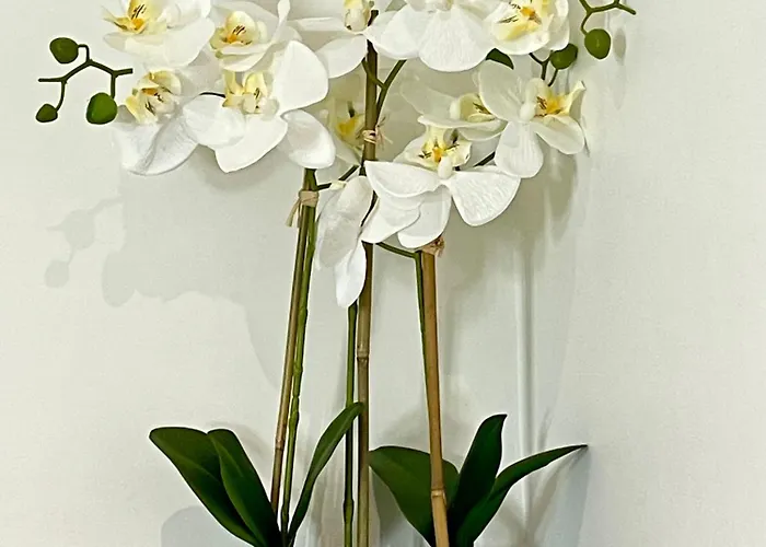 Проживание в семье Elegantes Smart In Szene-viertel Дюссельдорф